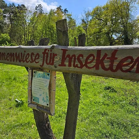 Ferienwohnung-2-am-rodelberg Διαμέρισμα Priborn